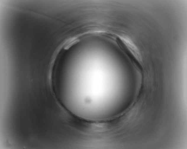 X0000088641181200706011157