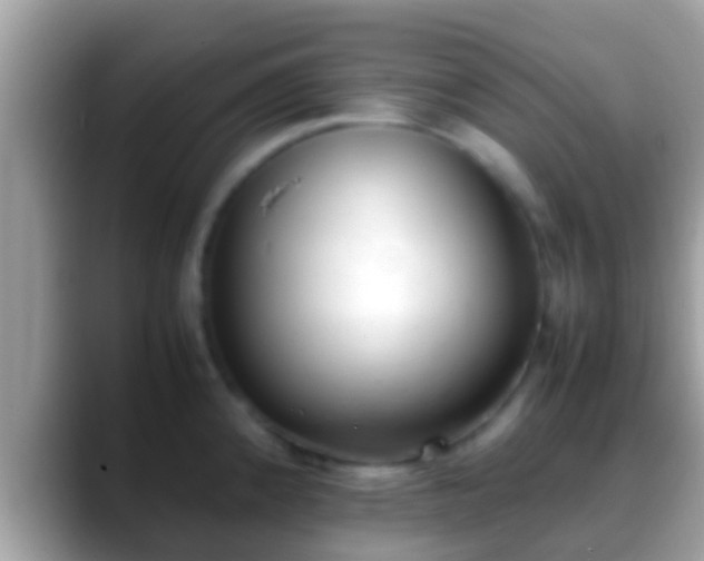 X0000088641192200706011157