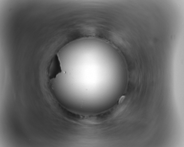 X0000088641201200706011156