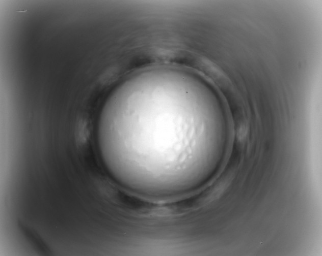 X0000088641204200706011156