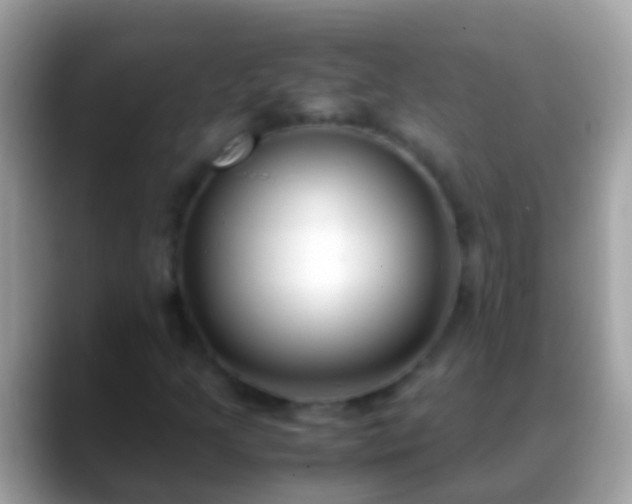 X0000088641205200706011156