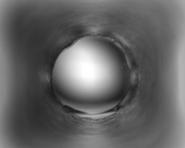 X0000088641206200706011156