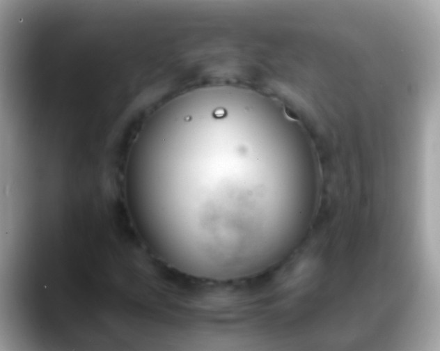 X0000088641207200706011156