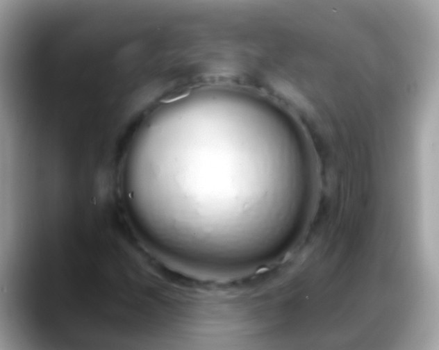 X0000088641208200706011156