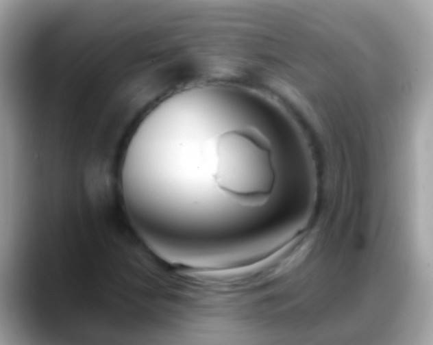 X0000088641210200706011156