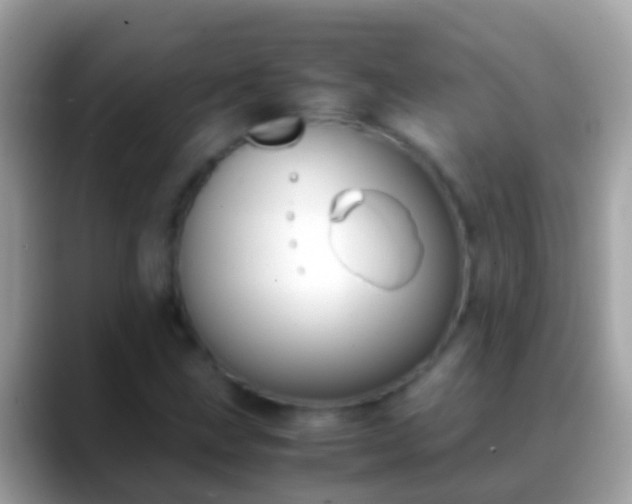 X0000088641211200706011156