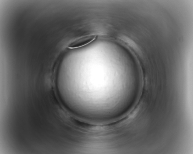 X0000088641212200706011156