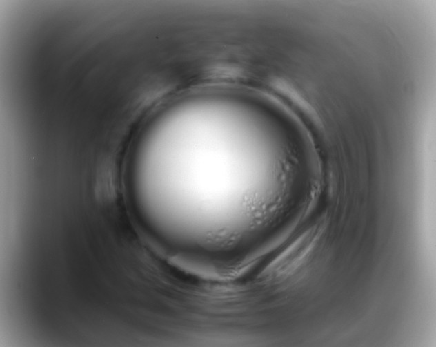 X0000088641213200706011156