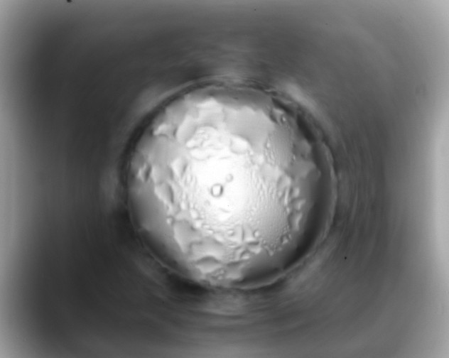 X0000088641215200706011156