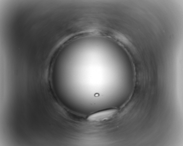 X0000088641216200706011156