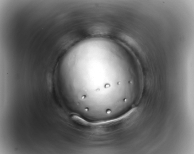 X0000088641217200706011156