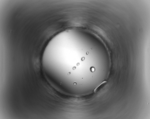 X0000088641218200706011156