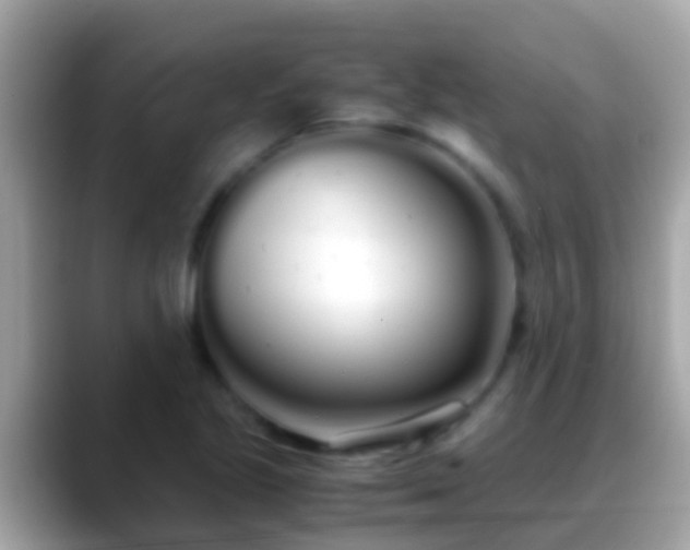 X0000088641221200706011156