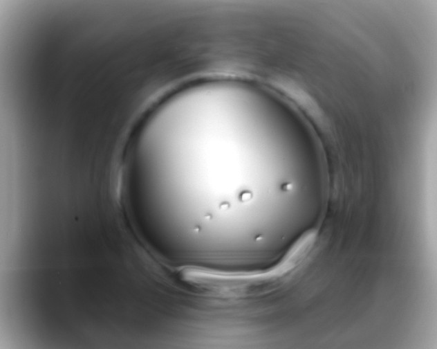 X0000088641224200706011156