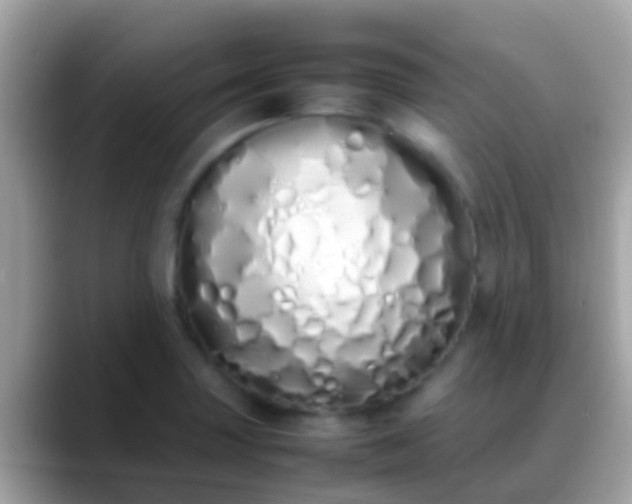 X0000088641227200706011156