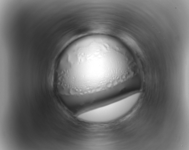 X0000088641228200706011156