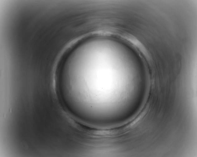 X0000088641232200706011156
