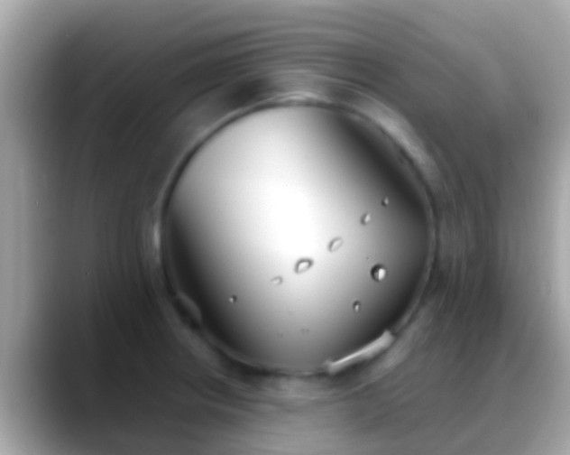 X0000088641234200706011157