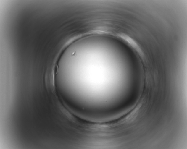 X0000088641238200706011157