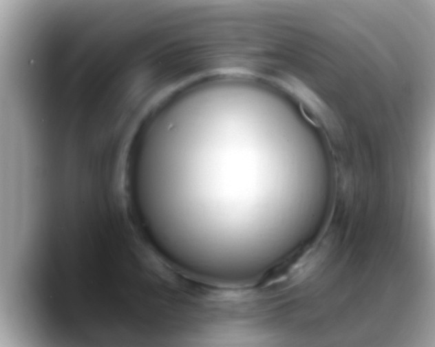 X0000088641240200706011157