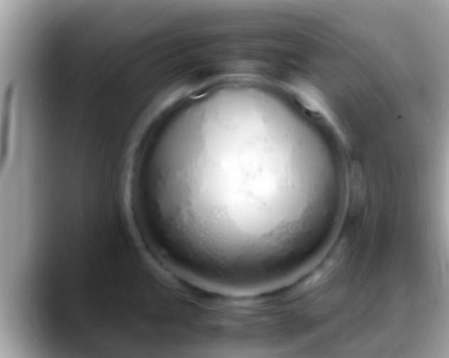 X0000088641245200706011157