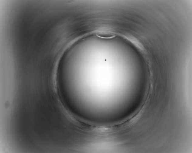 X0000088641248200706011157