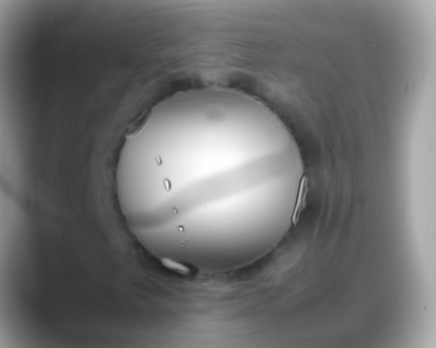X0000088641249200706011156