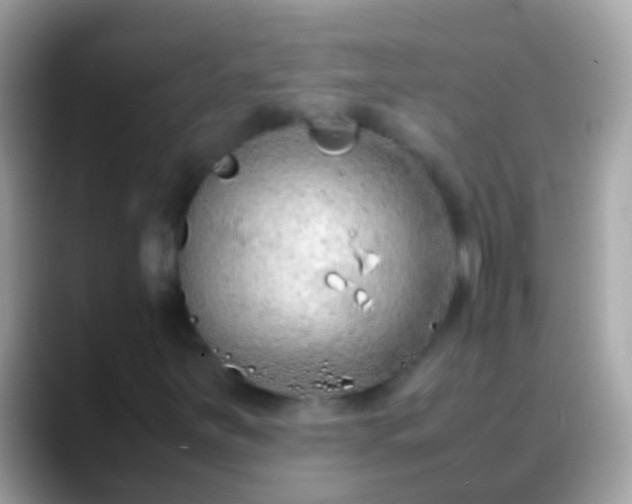 X0000088641251200706011156