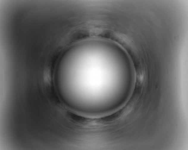 X0000088641252200706011156