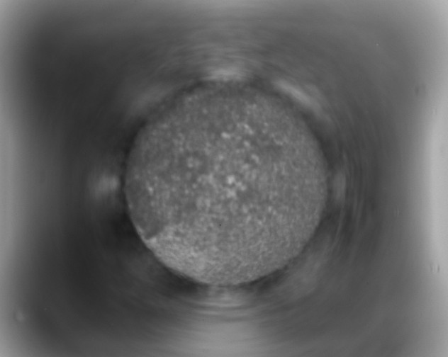 X0000088641254200706011156