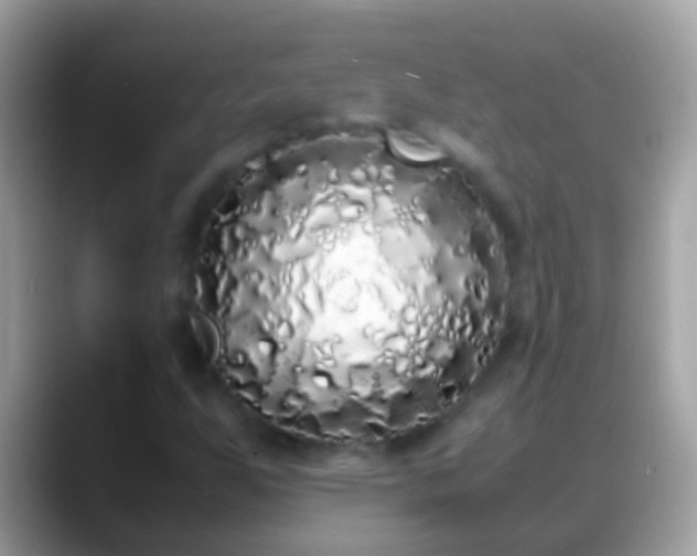 X0000088641255200706011156