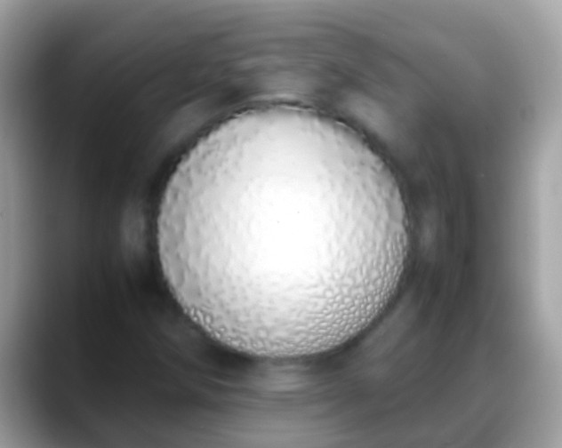 X0000088641258200706011156
