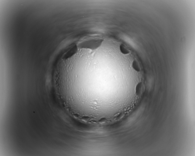 X0000088641259200706011156
