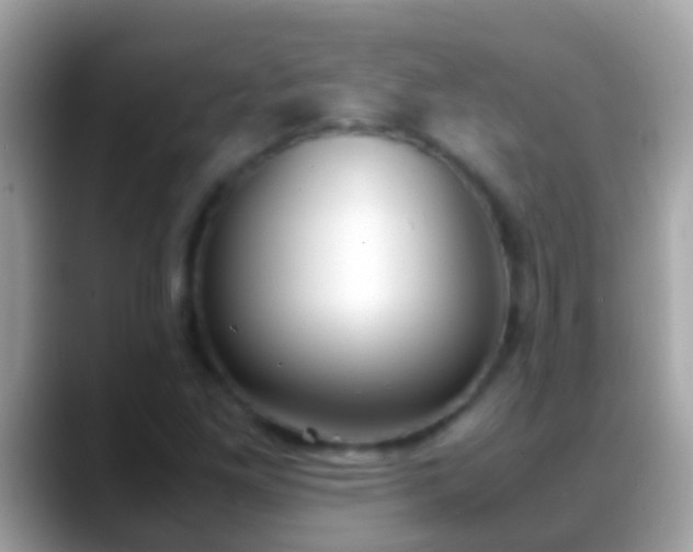 X0000088641261200706011156