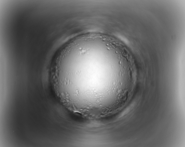 X0000088641263200706011156