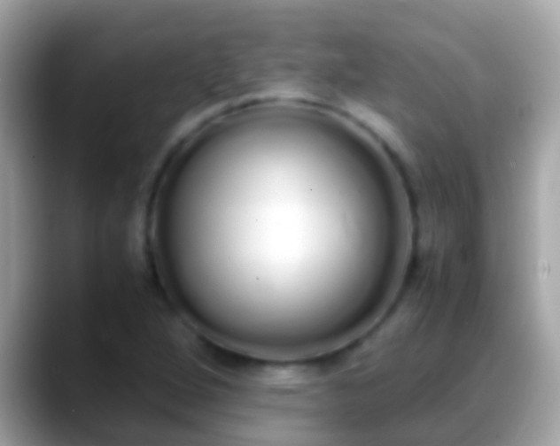 X0000088641264200706011156