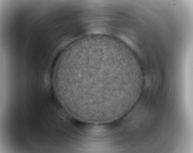 X0000088641266200706011156