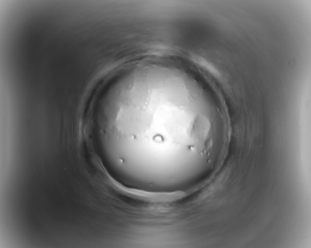 X0000088641267200706011156