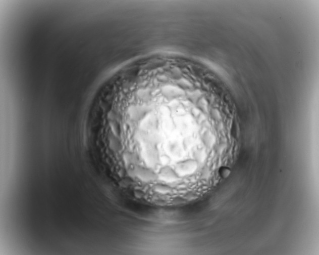 X0000088641271200706011156