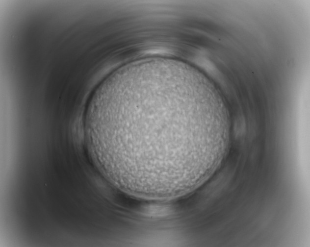X0000088641274200706011156