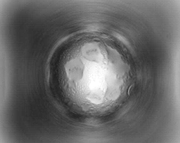 X0000088641275200706011156