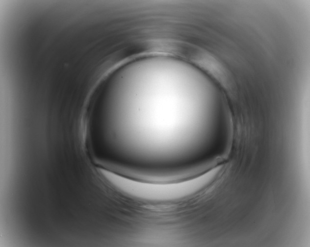 X0000088641276200706011156