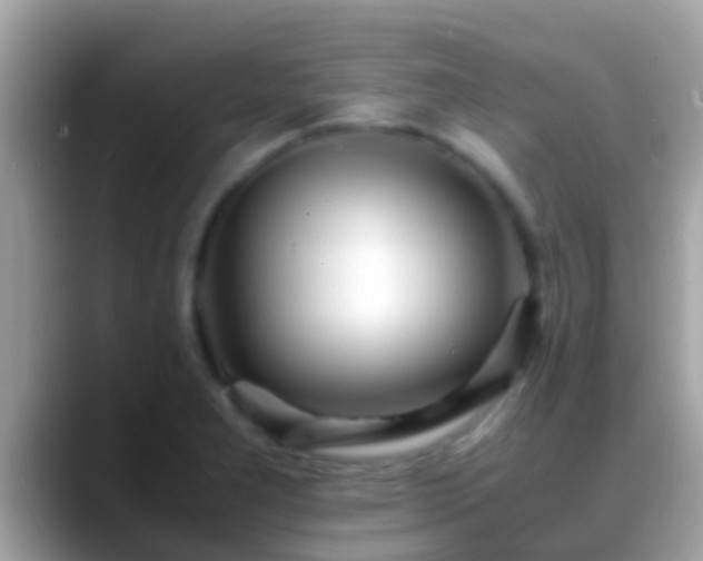 X0000088641277200706011156