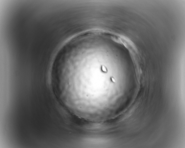 X0000088641279200706011156