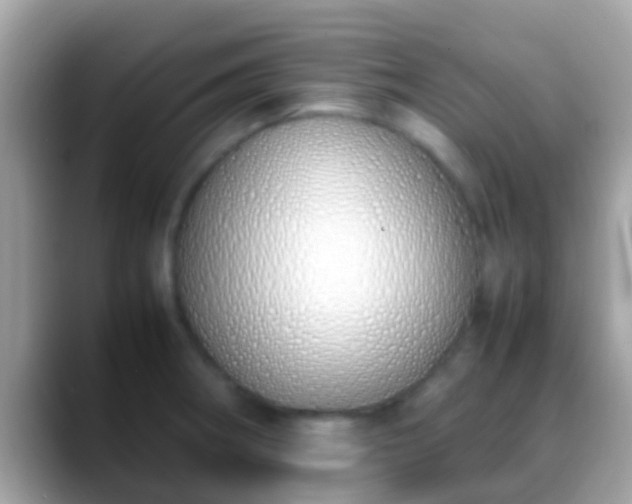 X0000088641282200706011156