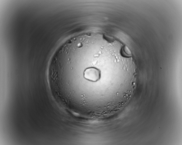 X0000088641283200706011156