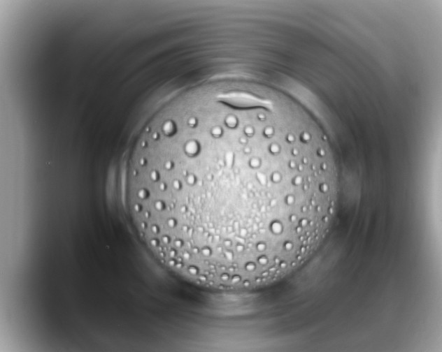 X0000088641290200706011156