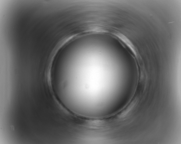 X0000088641293200706011156