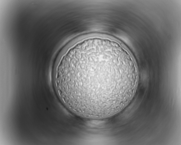 X0000088641294200706011156