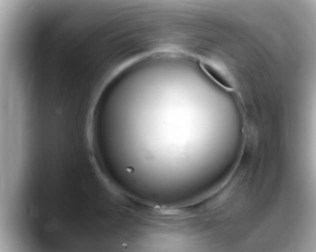 X0000088641295200706011156